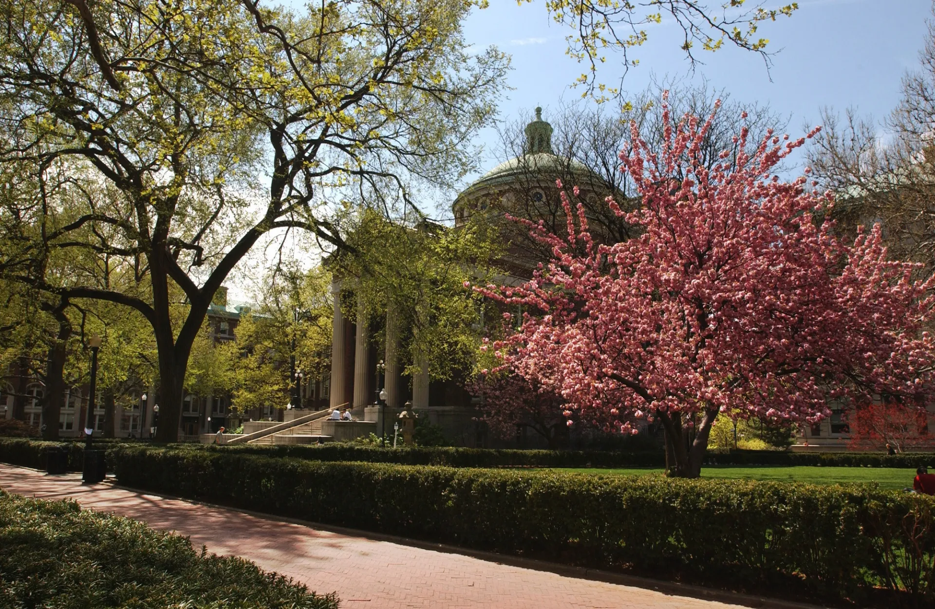 Earl Hall on a spring day with green and pink flowers on trees in full bloom